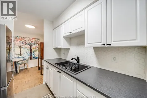 111 Riverside Drive Windsor ON N9A 2S6
