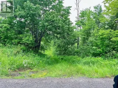 000 Lasswade Road North Kawartha ON K0L 1A0