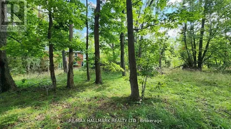 26 Lakeshore Road West Oro-medonte ON L0L 2E0