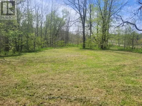 26 Lakeshore Road West Oro-medonte ON L0L 2E0