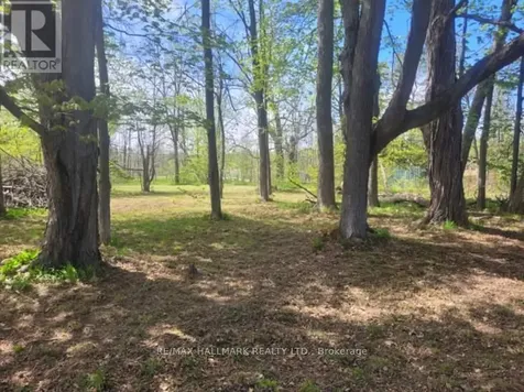 26 Lakeshore Road West Oro-medonte ON L0L 2E0
