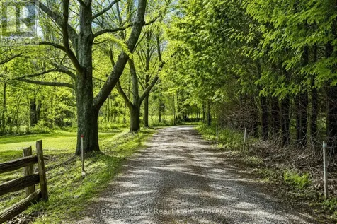 8943 County Road 9 Clearview ON L0M 1G0