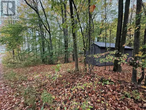 Lot 8 Green Acres Road Grey Highlands ON N0C 1E0