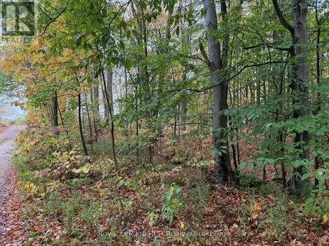 Lot 8 Green Acres Road Grey Highlands ON N0C 1E0