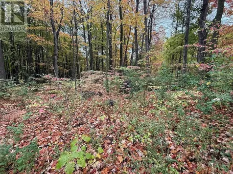 Lot 8 Green Acres Road Grey Highlands ON N0C 1E0