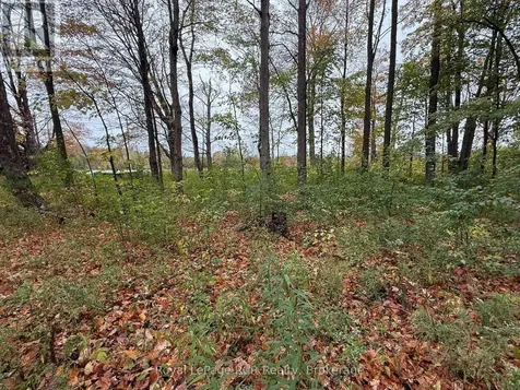 Lot 8 Green Acres Road Grey Highlands ON N0C 1E0