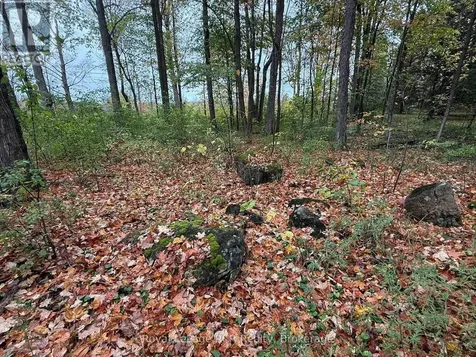 Lot 8 Green Acres Road Grey Highlands ON N0C 1E0
