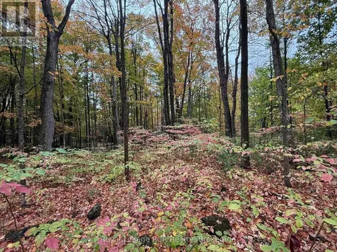 Lot 8 Green Acres Road Grey Highlands ON N0C 1E0