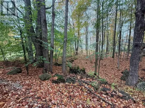 Lot 8 Green Acres Road Grey Highlands ON N0C 1E0