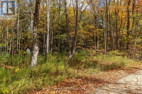 Lot 8 Green Acres Road Grey Highlands ON N0C 1E0