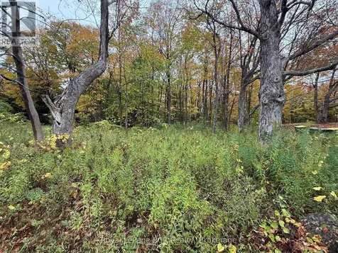 Lot 8 Green Acres Road Grey Highlands ON N0C 1E0