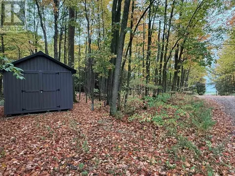 Lot 8 Green Acres Road Grey Highlands ON N0C 1E0