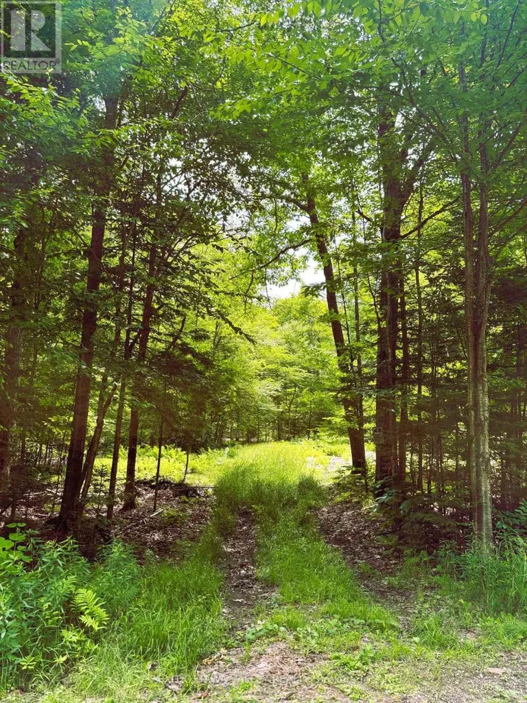 0 Peplinskie Road Madawaska Valley ON K0J 1L0