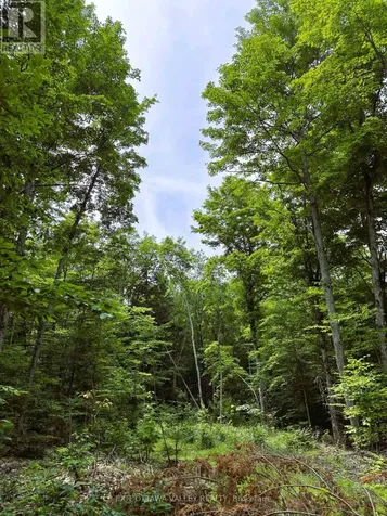 0 Peplinskie Road Madawaska Valley ON K0J 1L0