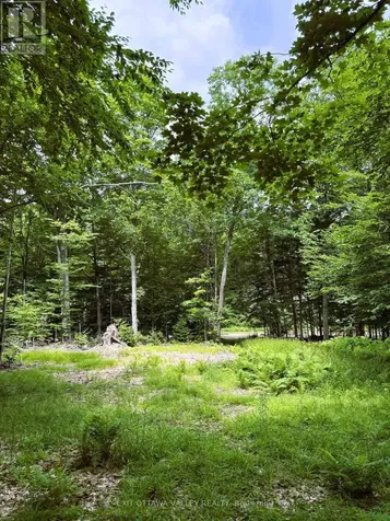 0 Peplinskie Road Madawaska Valley ON K0J 1L0