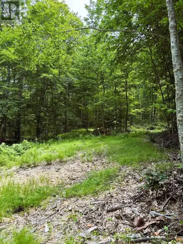0 Peplinskie Road Madawaska Valley ON K0J 1L0