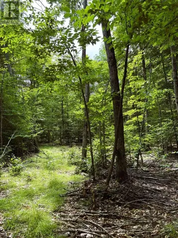 0 Peplinskie Road Madawaska Valley ON K0J 1L0