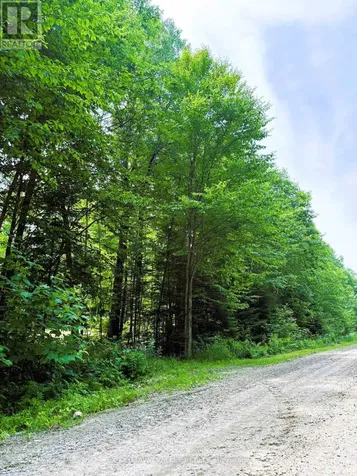 0 Peplinskie Road Madawaska Valley ON K0J 1L0