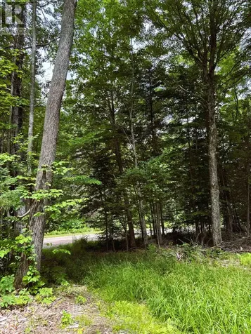 0 Peplinskie Road Madawaska Valley ON K0J 1L0