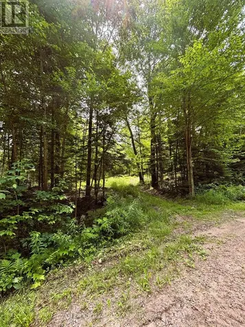 0 Peplinskie Road Madawaska Valley ON K0J 1L0