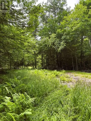 0 Peplinskie Road Madawaska Valley ON K0J 1L0