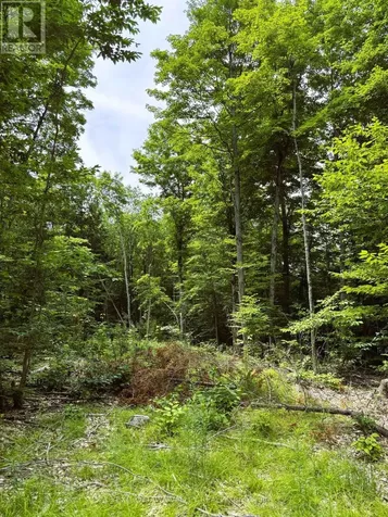 0 Peplinskie Road Madawaska Valley ON K0J 1L0