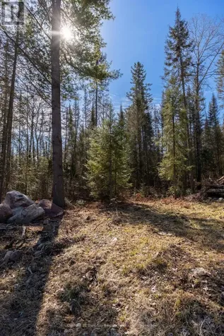 144 Lavigne Road East Ferris ON P0H 1K0
