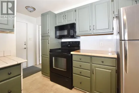 113 Rousseau Crescent Blind River ON P0R 1B0