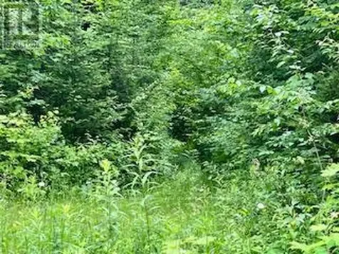 Lot 5 Georges Road Bonfield ON P0H 1E0