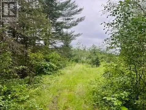 Lot 5 Georges Road Bonfield ON P0H 1E0