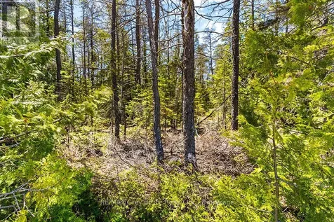 Lot 12 Willow Creek Crescent Northern Bruce Peninsula ON N0H 2R0