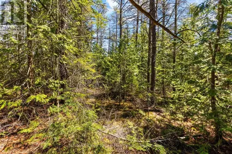 Lot 12 Willow Creek Crescent Northern Bruce Peninsula ON N0H 2R0