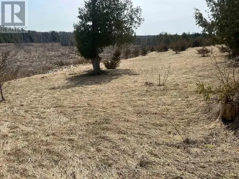 00 Concession Road 13 E Trent Hills ON K0L 1Y0