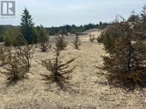 00 Concession Road 13 E Trent Hills ON K0L 1Y0