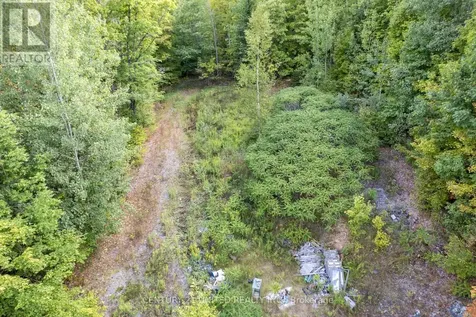 23 Rusaw Road North Kawartha ON K0L 1A0