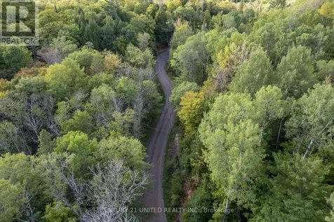 23 Rusaw Road North Kawartha ON K0L 1A0