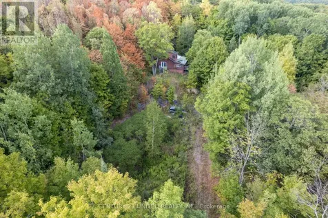 23 Rusaw Road North Kawartha ON K0L 1A0