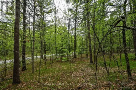 00 Clear Lake Road Rideau Lakes ON K0G 1E0