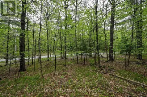 00 Clear Lake Road Rideau Lakes ON K0G 1E0