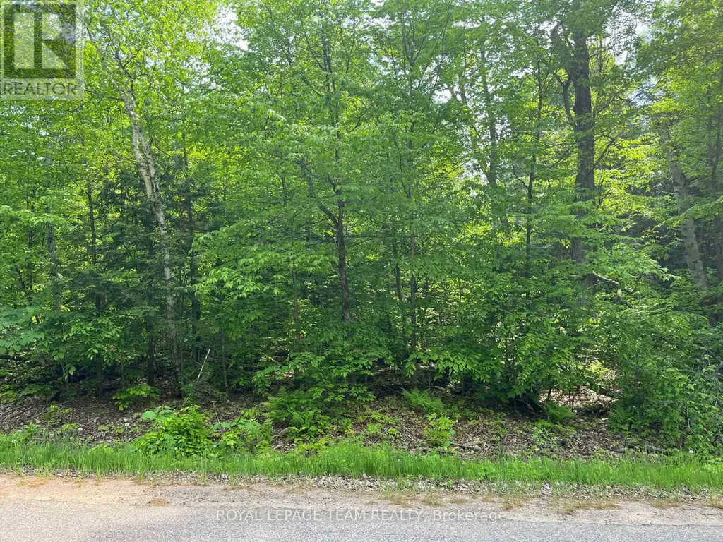 387 Sunny Hill Road Madawaska Valley ON K0J 1B0