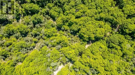 Lot 3 Sixth Street South Bruce Peninsula ON N0H 2G0
