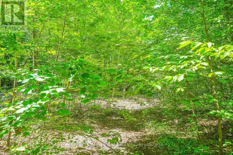 Lot 2 Sixth Street South Bruce Peninsula ON N0H 2G0