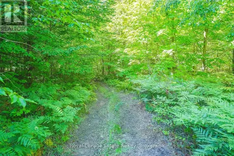 Lot 5 Sixth Street South Bruce Peninsula ON N0H 2G0