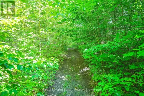 Lot 5 Sixth Street South Bruce Peninsula ON N0H 2G0