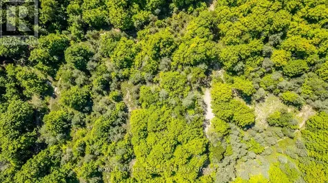 Lot 5 Sixth Street South Bruce Peninsula ON N0H 2G0