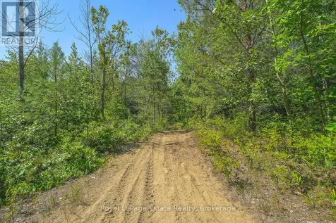 Lot 4 Sixth Street South Bruce Peninsula ON N0H 2G0