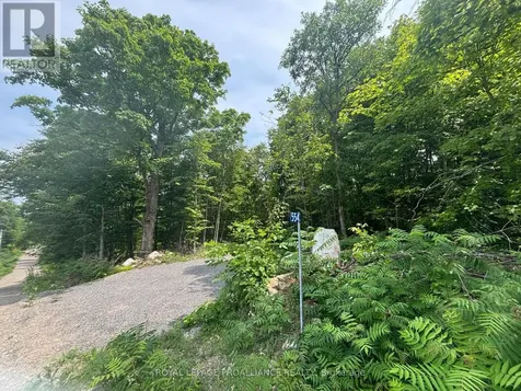 554 Pigden Road Madoc ON K0K 2K0