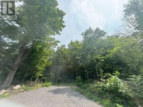 554 Pigden Road Madoc ON K0K 2K0