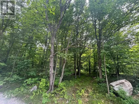 554 Pigden Road Madoc ON K0K 2K0