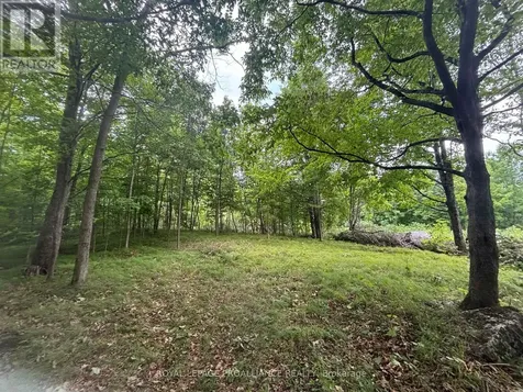 554 Pigden Road Madoc ON K0K 2K0